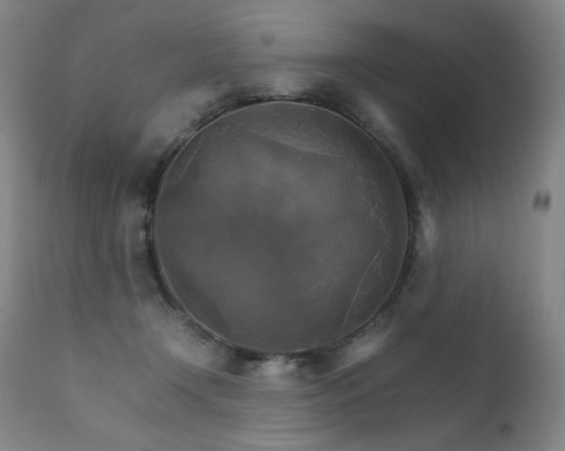 X0000111230366200907021404