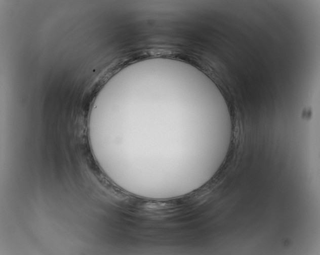 X0000111230367200907021404