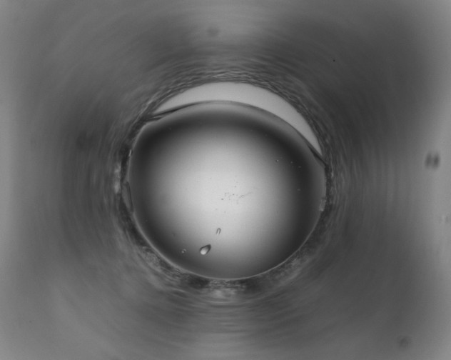 X0000111230368200907021404