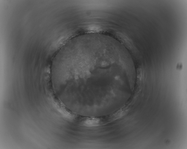 X0000111230369200907021404