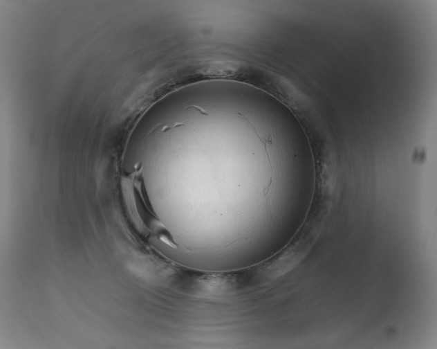 X0000111230370200907021404