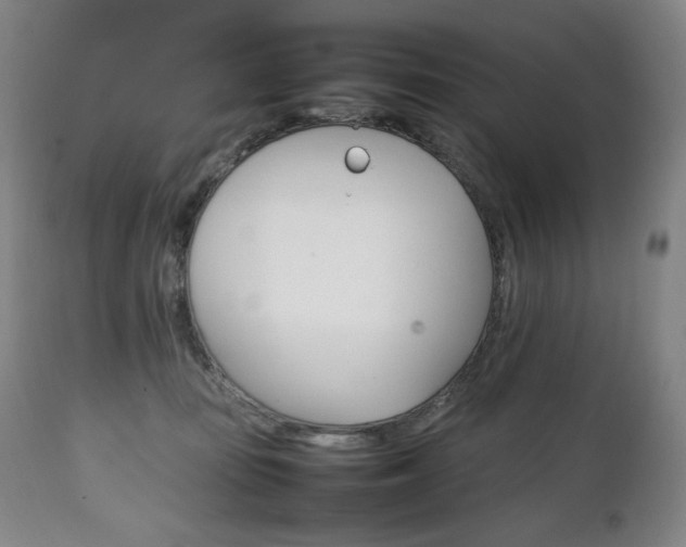 X0000111230371200907021404