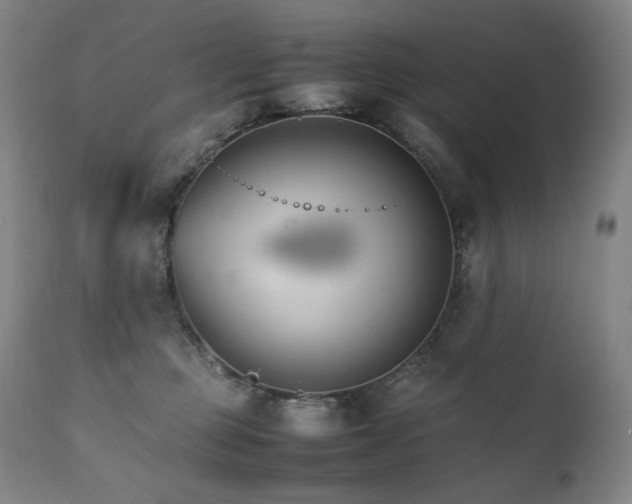 X0000111230373200907021404