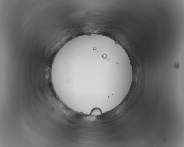 X0000111230374200907021404