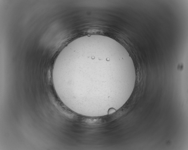 X0000111230375200907021404