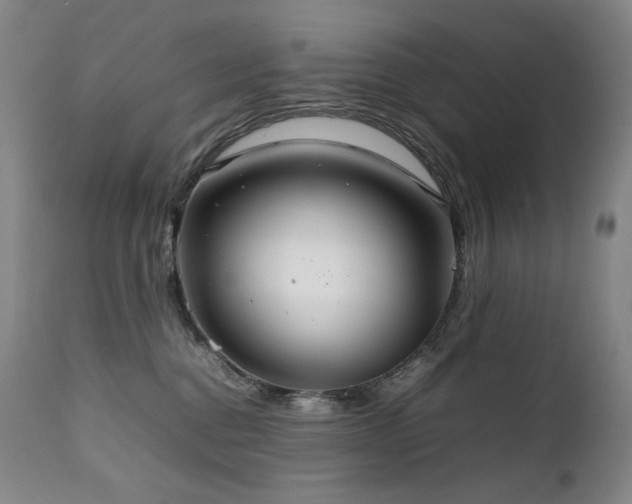 X0000111230376200907021404