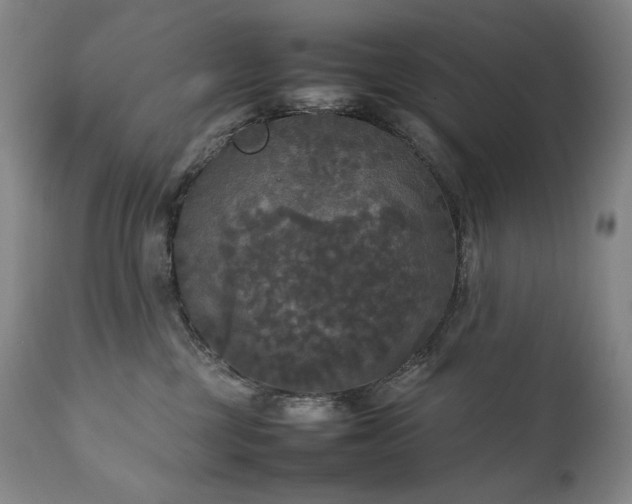 X0000111230377200907021405