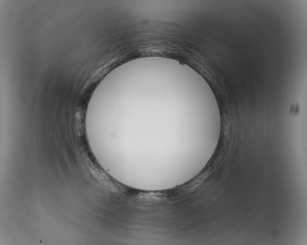 X0000111230378200907021405