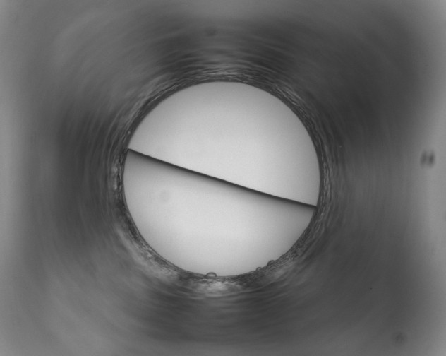 X0000111230379200907021405