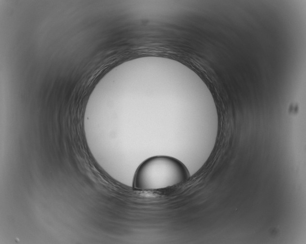 X0000111230380200907021405
