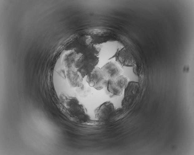 X0000111230381200907021405