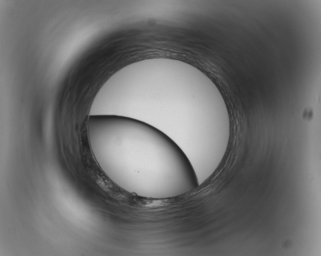 X0000111230382200907021405
