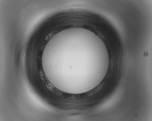 X0000111230383200907021405