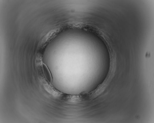 X0000111230384200907021405