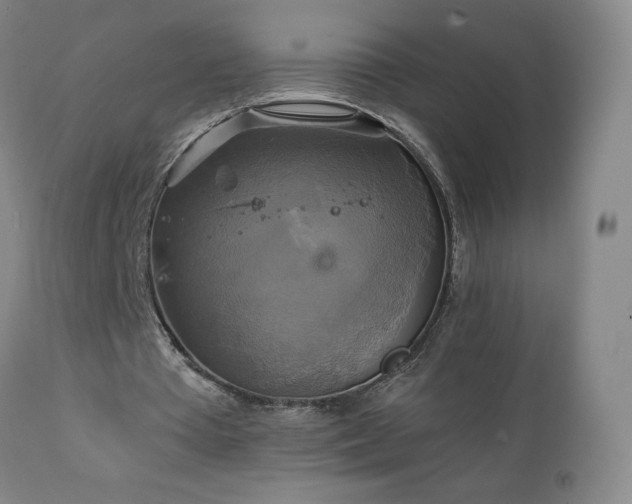 X0000111230385200907021404