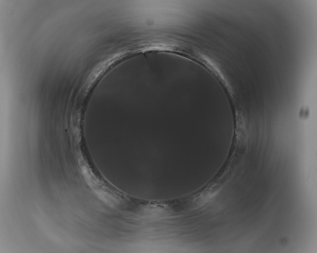 X0000111230386200907021404