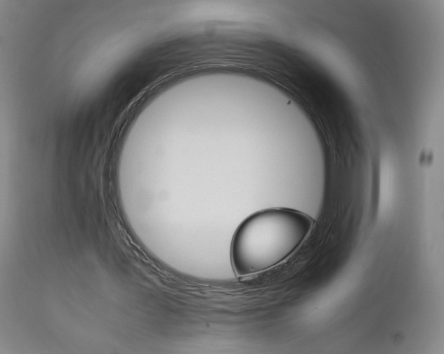 X0000111230387200907021404