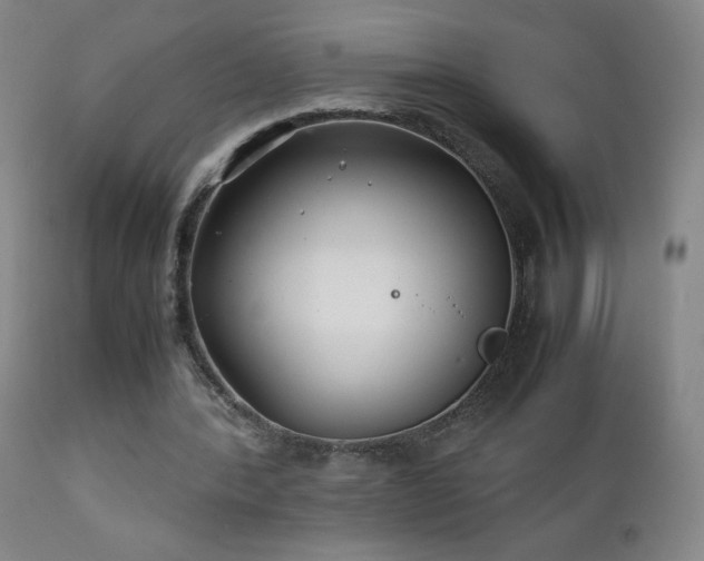 X0000111230388200907021404