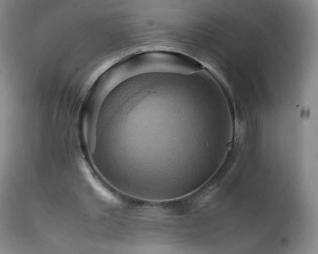 X0000111230389200907021404