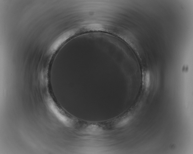 X0000111230390200907021404