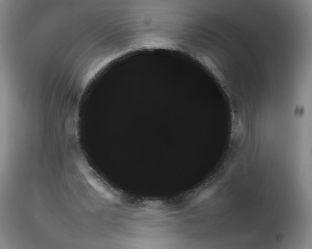 X0000111230391200907021404