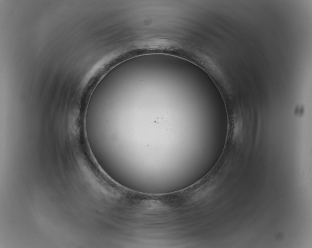 X0000111230392200907021404