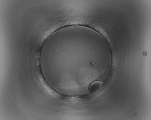 X0000111230393200907021404