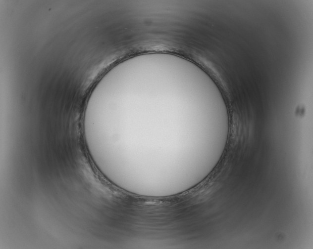 X0000111230394200907021404