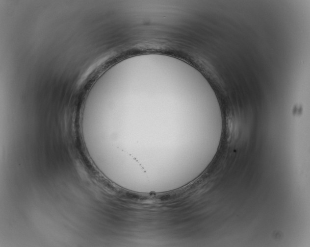 X0000111230396200907021404
