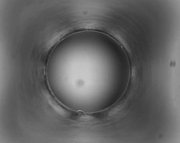 X0000111230397200907021404