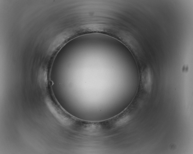 X0000111230398200907021404