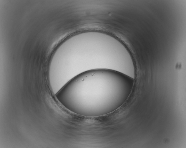X0000111230399200907021404
