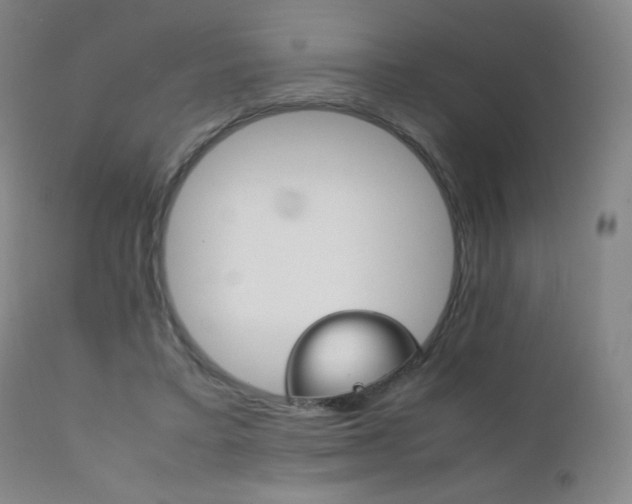X0000111230403200907021404