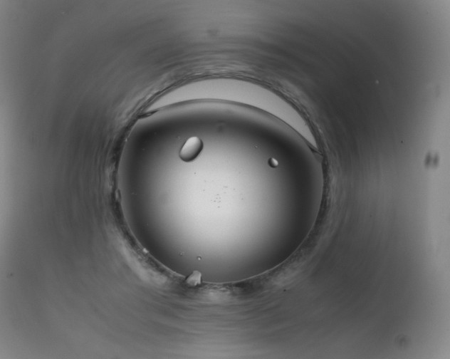 X0000111230405200907021404