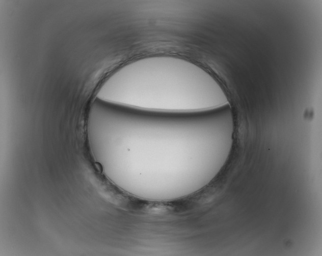 X0000111230407200907021404