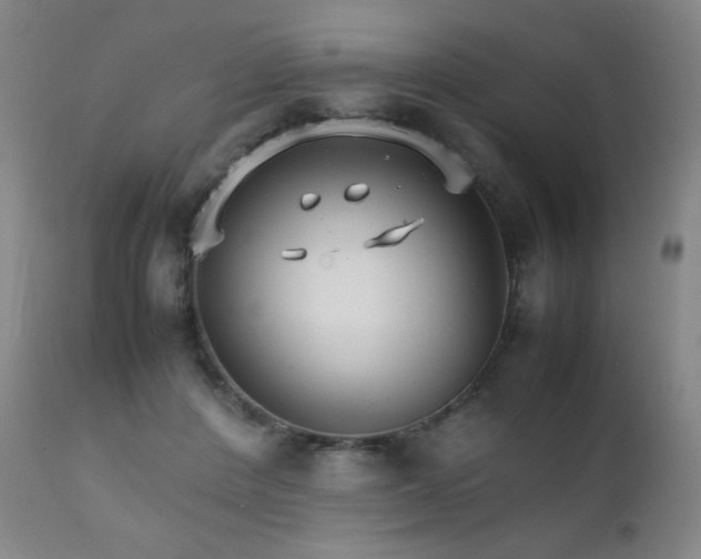 X0000111230408200907021404