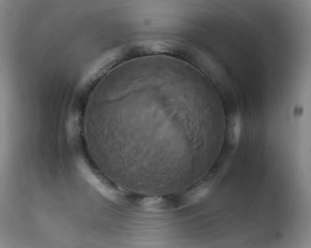 X0000111230410200907021404
