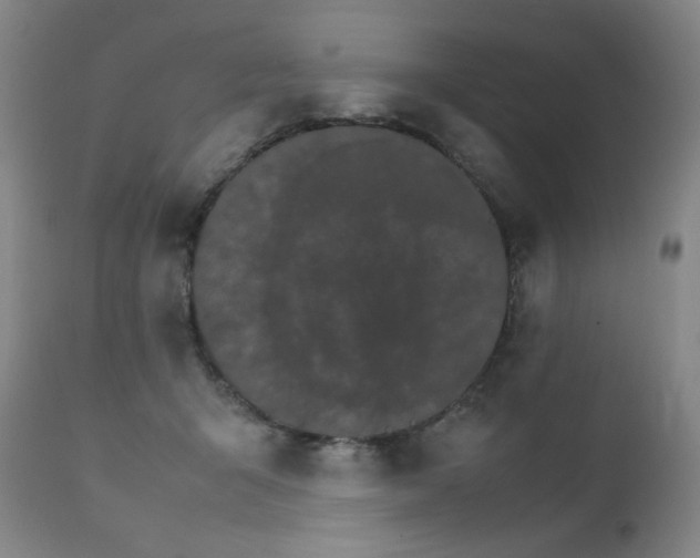 X0000111230415200907021403