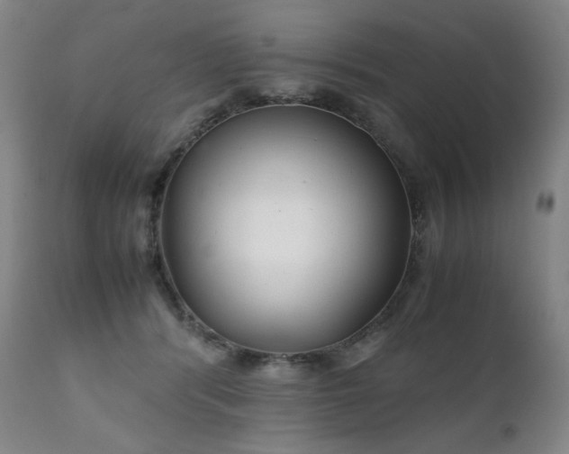 X0000111230416200907021403