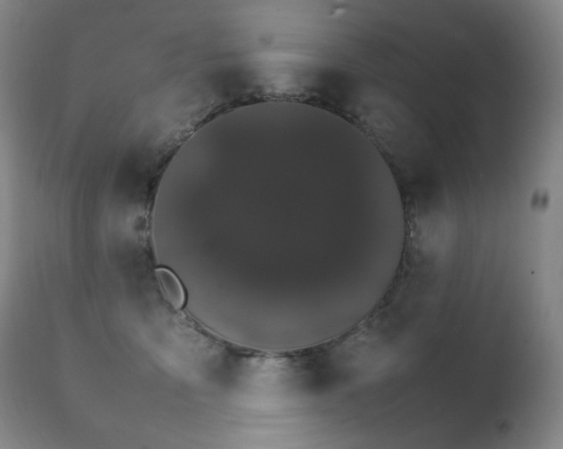 X0000111230419200907021403