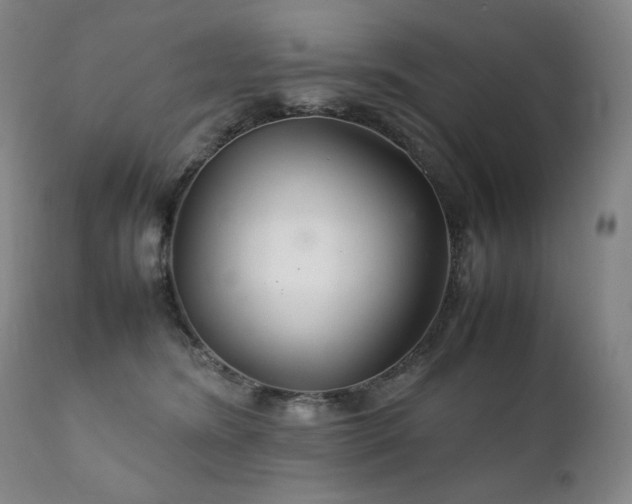 X0000111230420200907021403