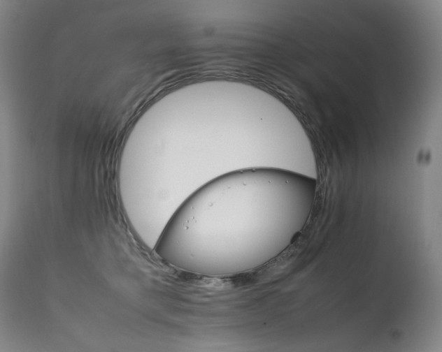X0000111230421200907021403