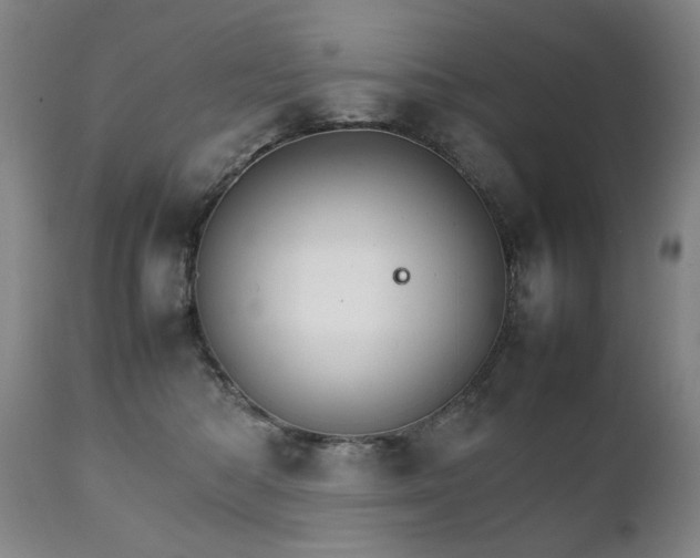 X0000111230422200907021403