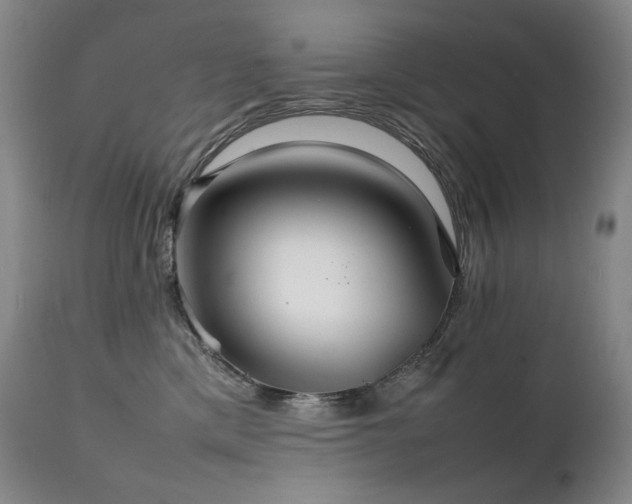 X0000111230425200907021403