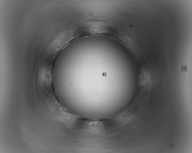 X0000111230426200907021403