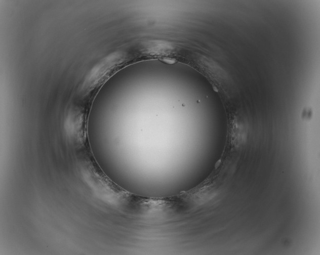 X0000111230428200907021403