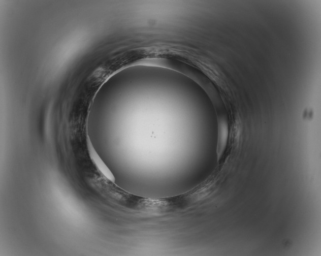 X0000111230429200907021403