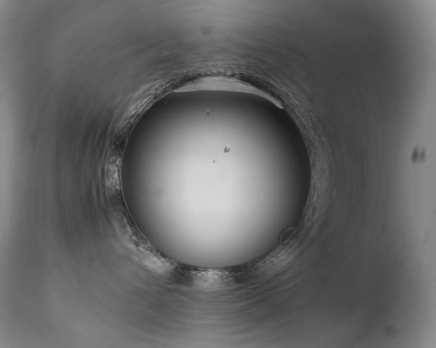 X0000111230432200907021403