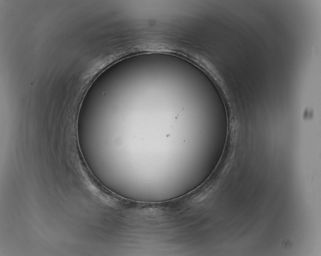 X0000111230433200907021402