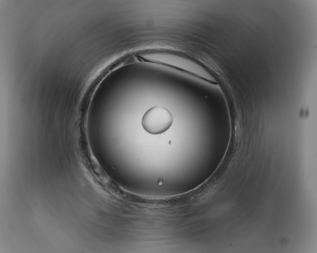 X0000111230436200907021402